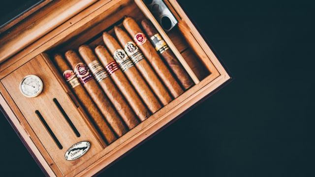 Comparatif humidors : notre sélection des meilleurs modèles