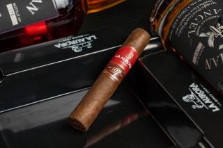 Choisir un cigare pour débutant, doux et bien construit